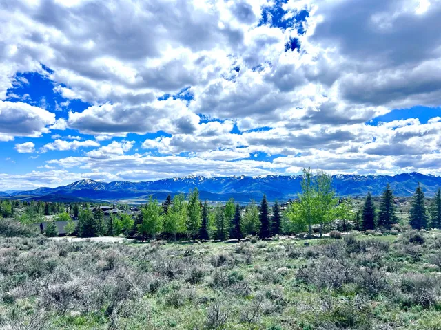 Expansive mountain landscape featuring distant snow-capped peaks and a foreground of natural vegetation