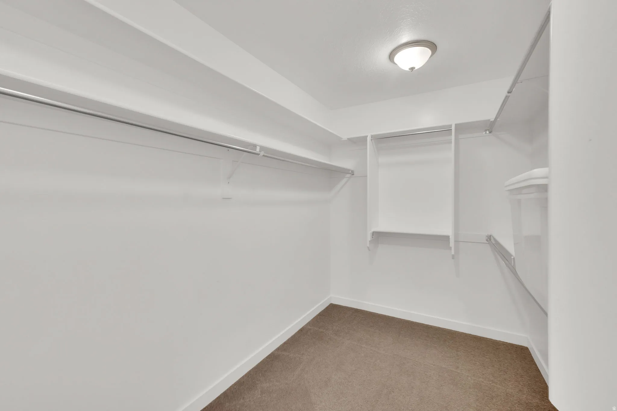 Primary Bedroom Walk in closet with carpet