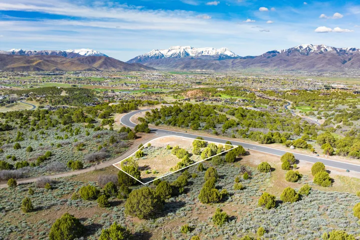 Aerial overview of property's location with property parcel outlined and a mountainous background