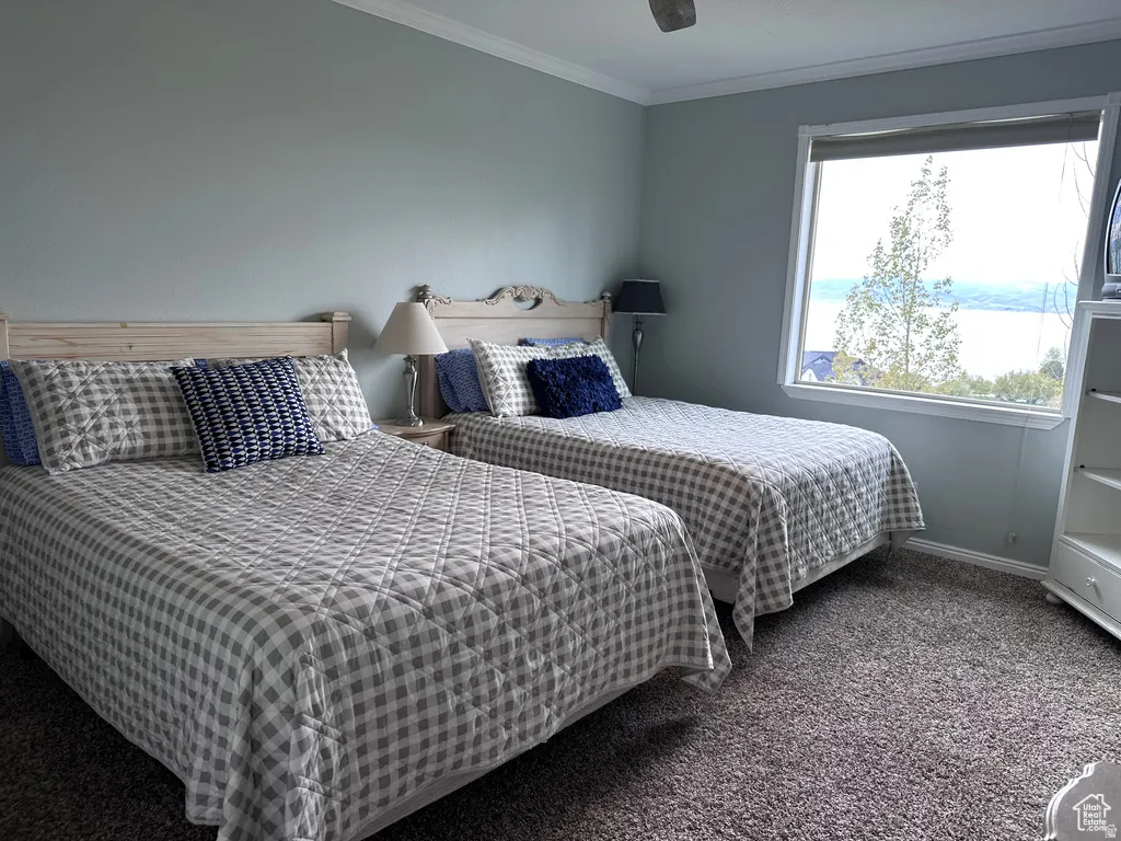 Bedroom with ornamental molding, carpet floors, and a ceiling fan