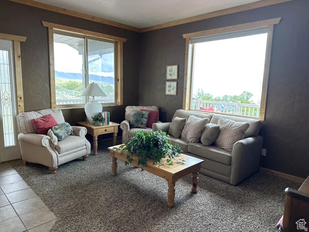 Living room with plenty of natural light
