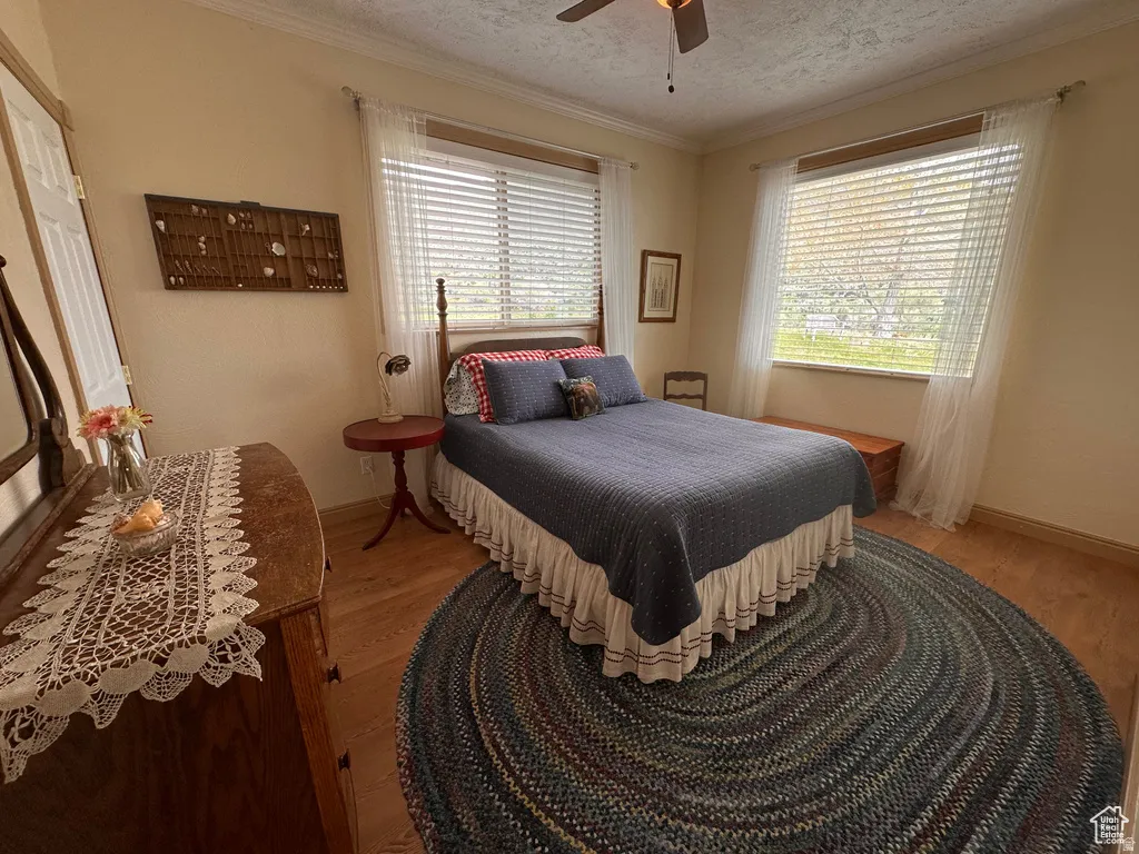 Bedroom featuring light wood-type flooring, ceiling fan, ornamental molding, and a textured ceiling