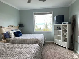 Carpeted bedroom featuring crown molding and ceiling fan
