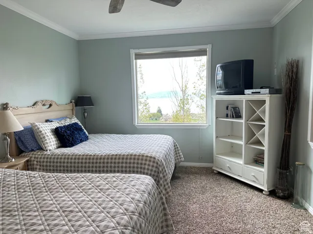 Carpeted bedroom featuring crown molding and ceiling fan