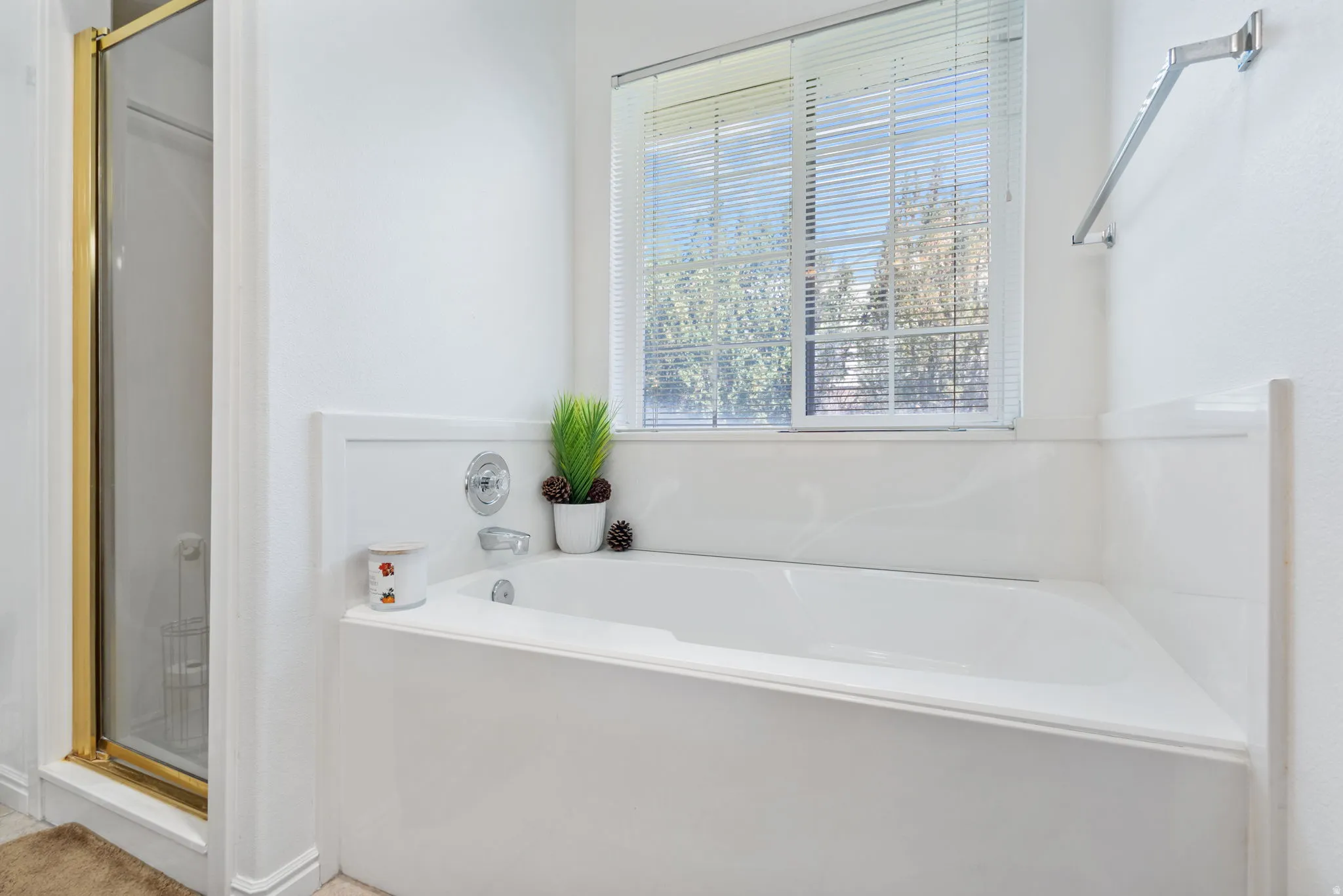 Bathroom with a garden tub and a stall shower