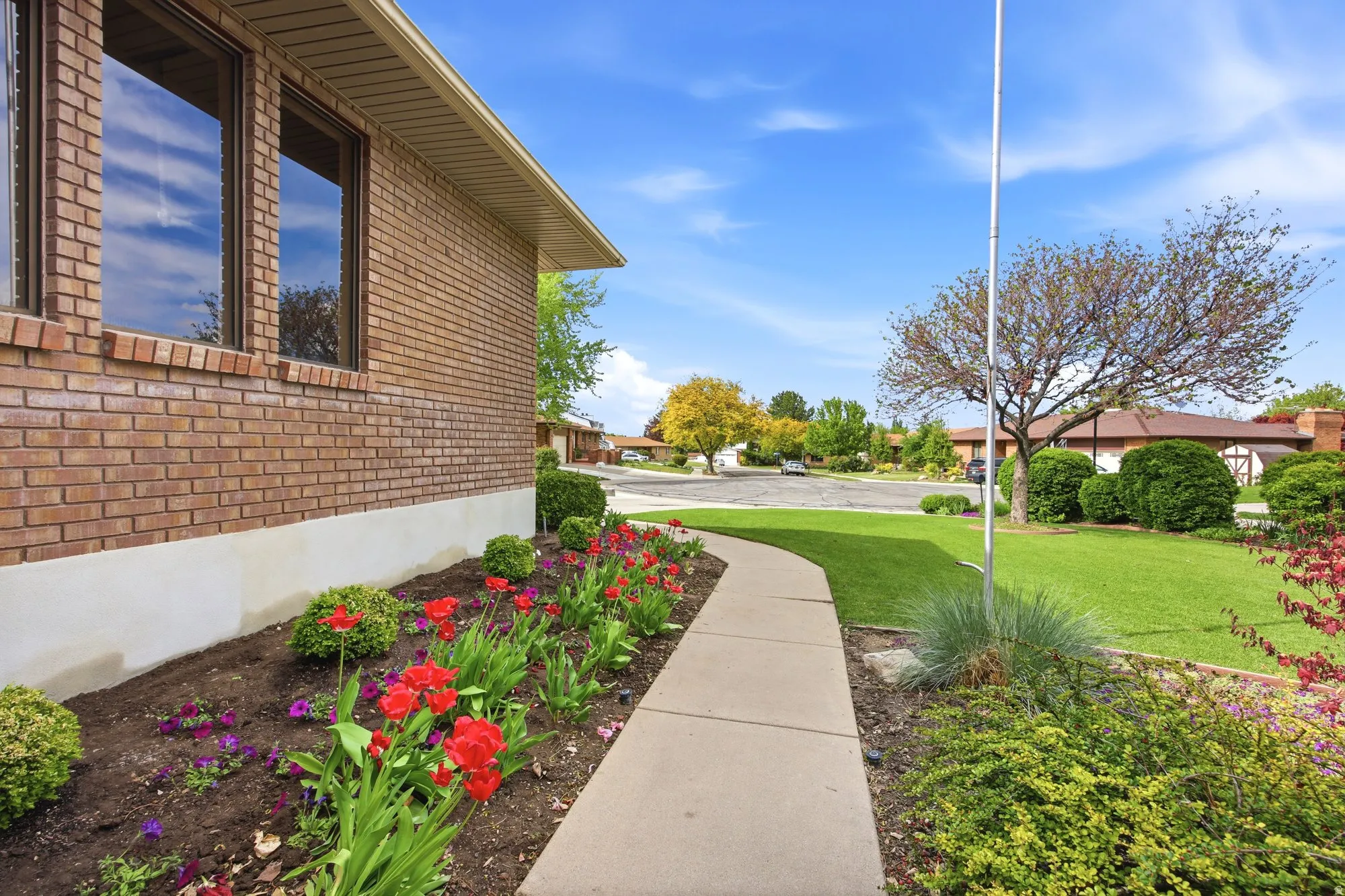 View of green lawn