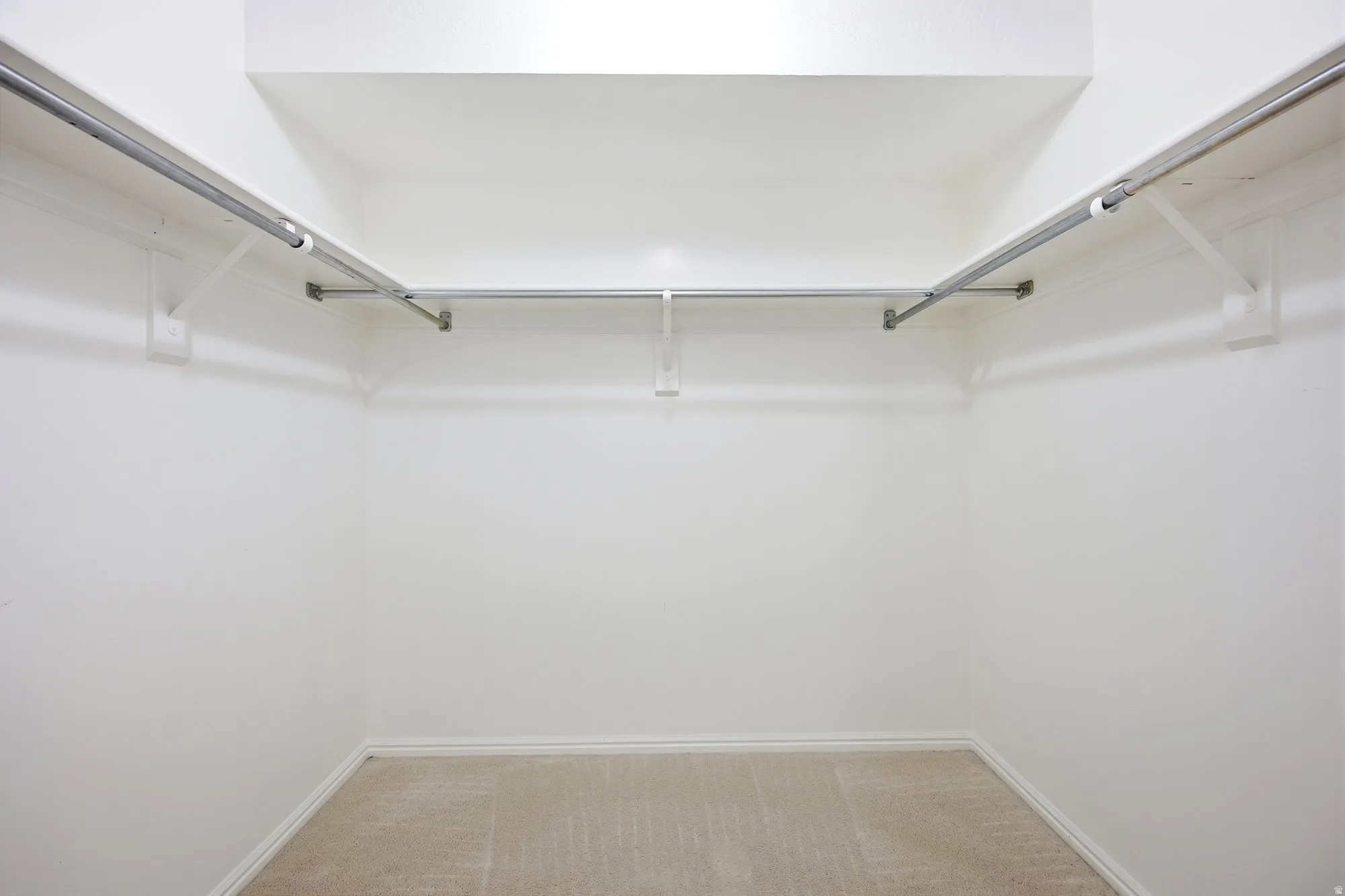 Primary suite oversize walk in closet with carpet.