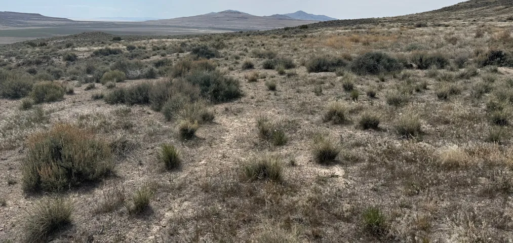 , Park Valley, Utah 84329