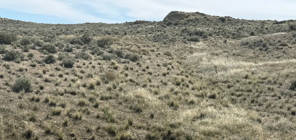 , Park Valley, Utah 84329