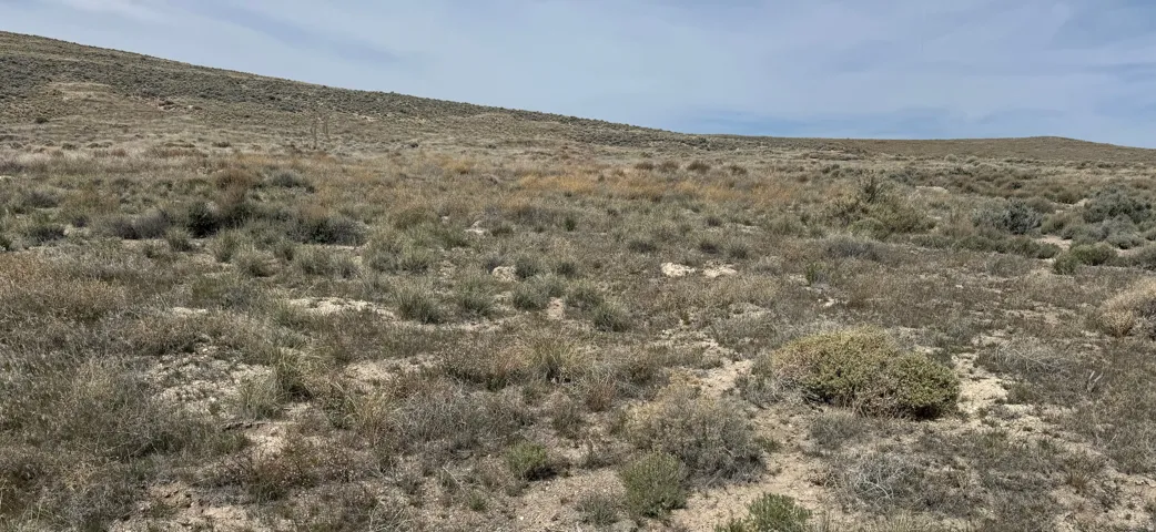 , Park Valley, Utah 84329