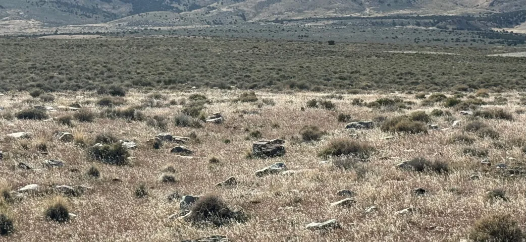 , Grouse Creek, Utah 84313
