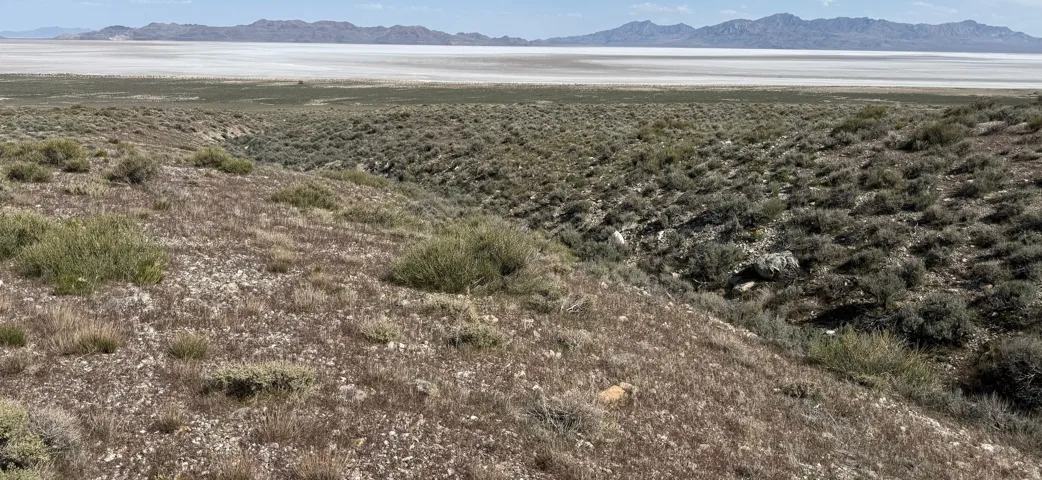 , Grouse Creek, Utah 84313