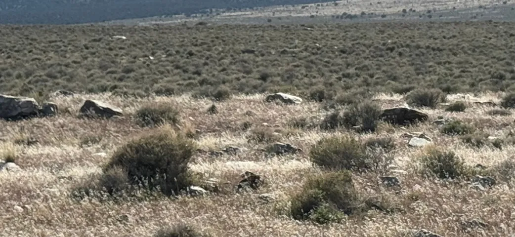 , Grouse Creek, Utah 84313