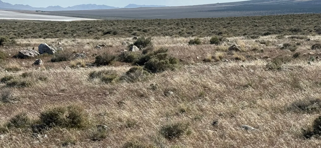 , Grouse Creek, Utah 84313