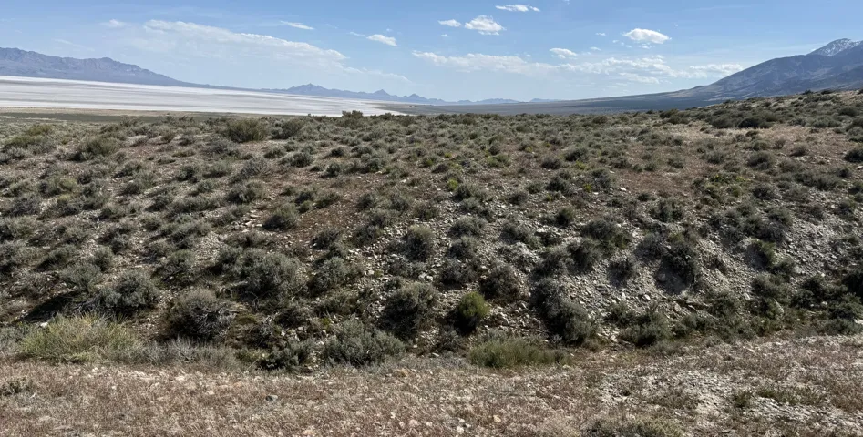 , Grouse Creek, Utah 84313