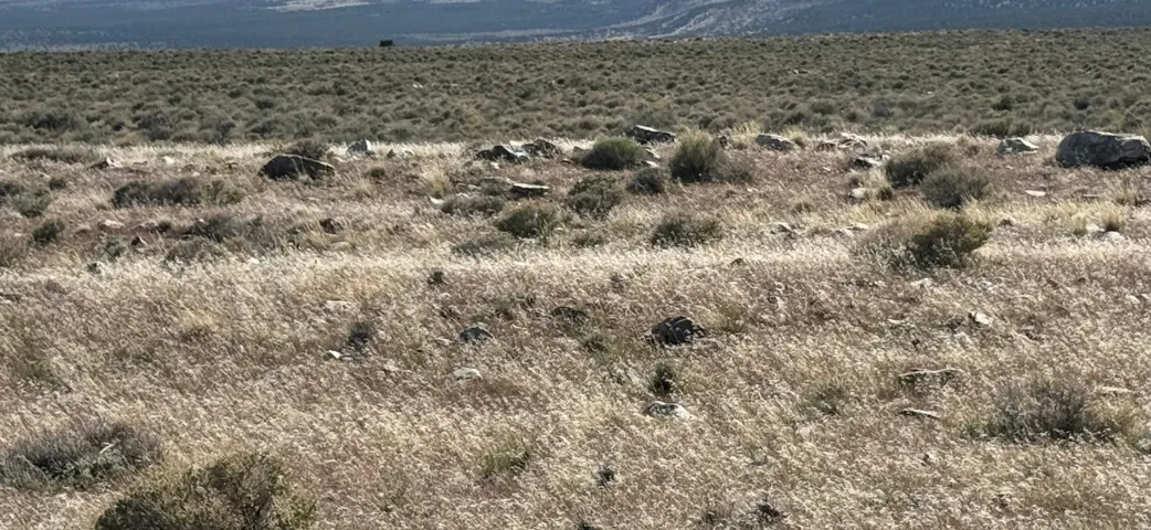 , Grouse Creek, Utah 84313