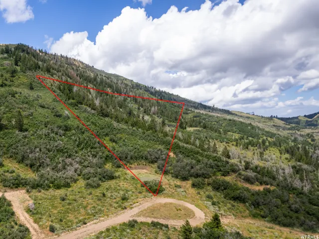 Aerial overview of property's location with property parcel outlined and a heavily wooded area