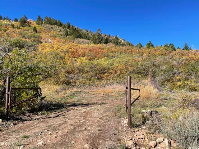 View of dirt / gravel road featuring a view of trees