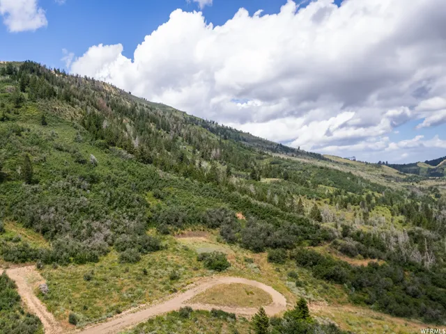 Aerial view of a forest and a mountainous background