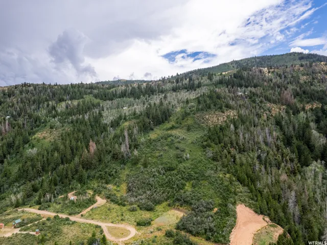 Aerial view of a heavily wooded area