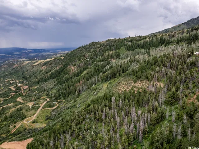 View of mountain background featuring a forest