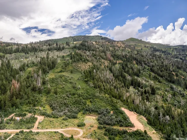 Mountain view featuring a heavily wooded area