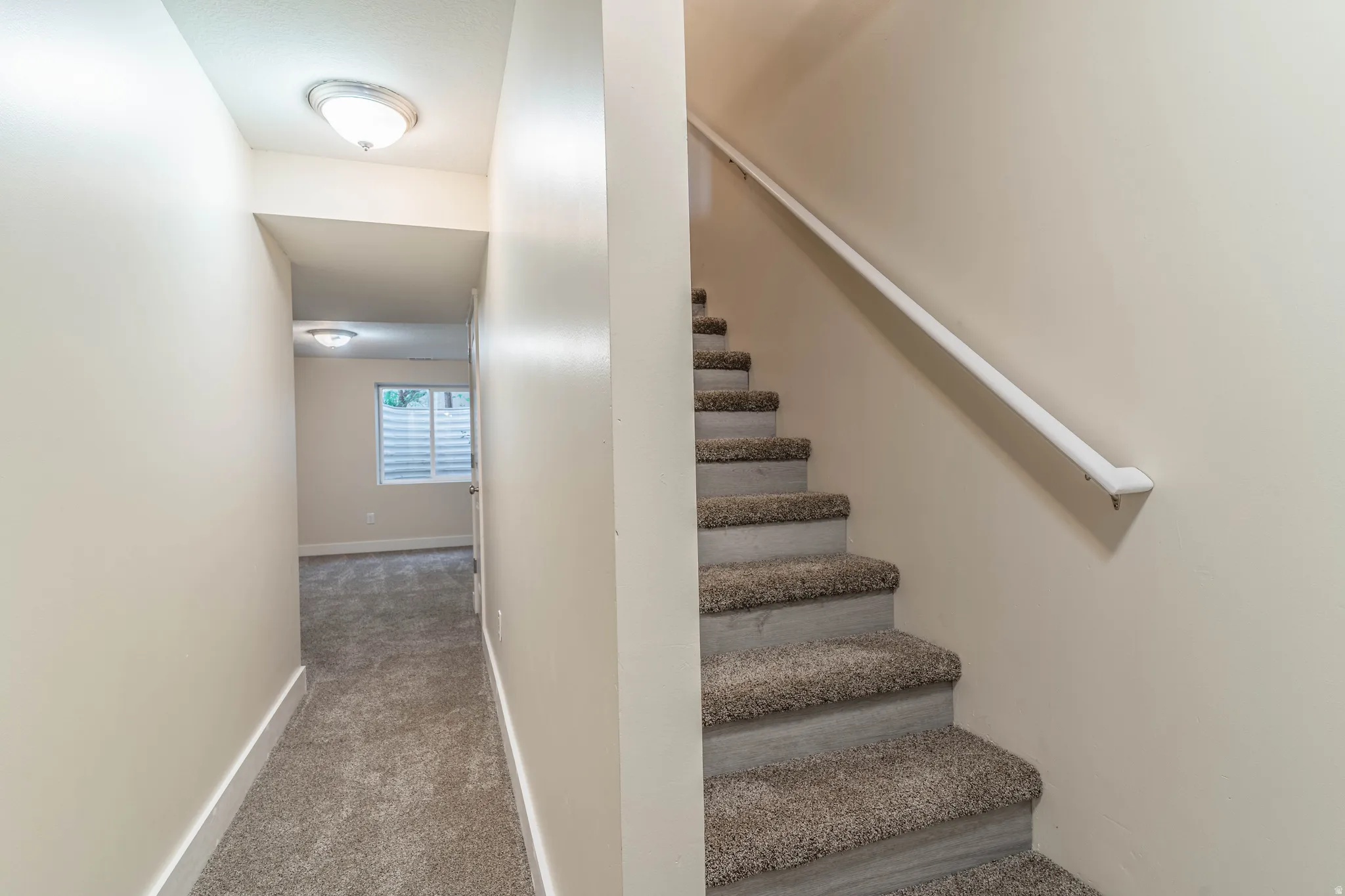 Stairs with carpet flooring and baseboards