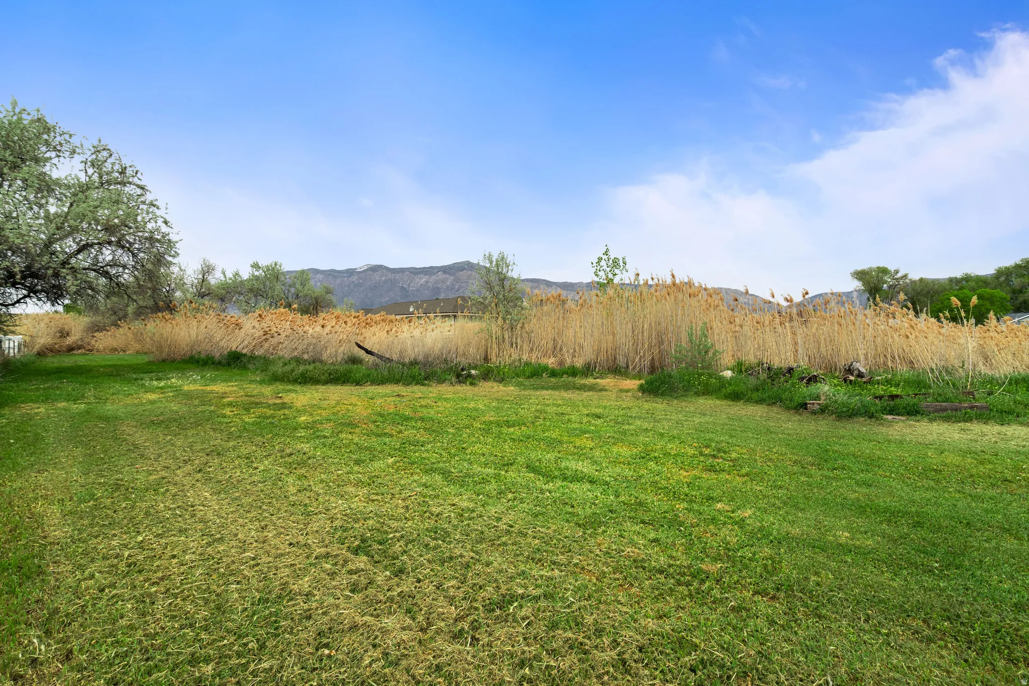 View of green lawn featuring a mountain view