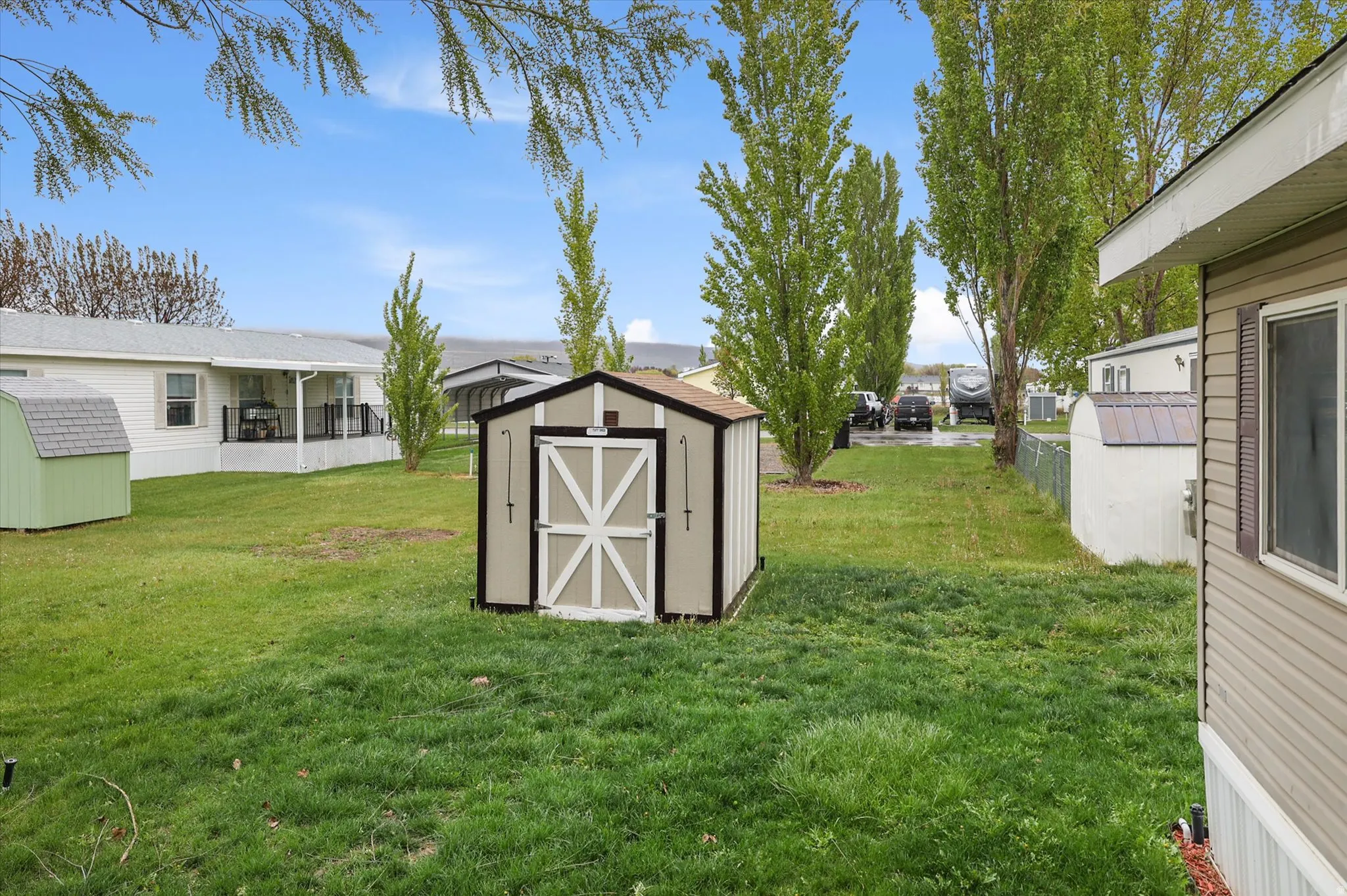 View of grassy yard with a shed