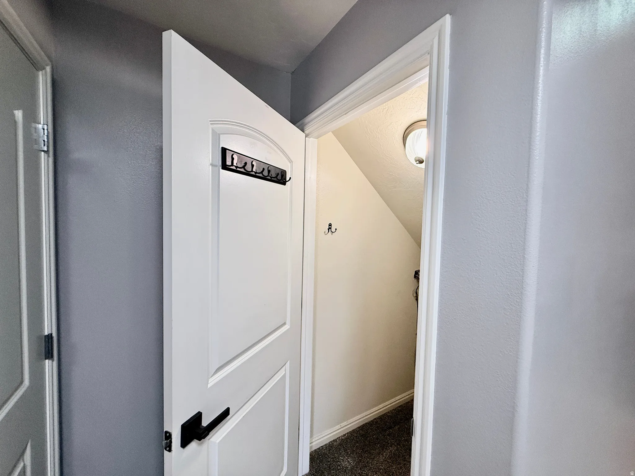 White panel door with a black lever handle, opening to a carpeted storage space