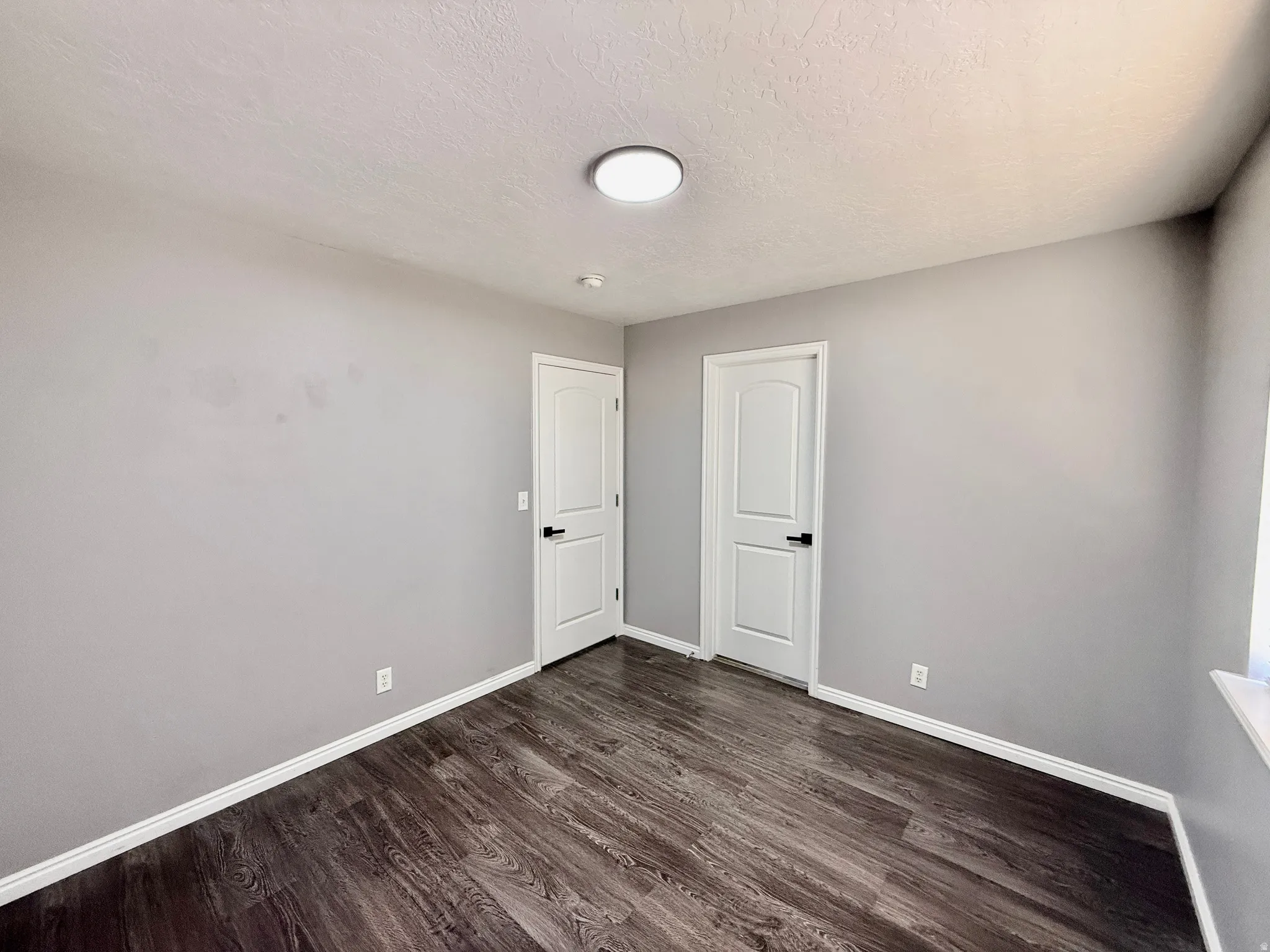 Room featuring wood-finish flooring, light gray walls, white baseboards, and two white interior doors with dark hardware