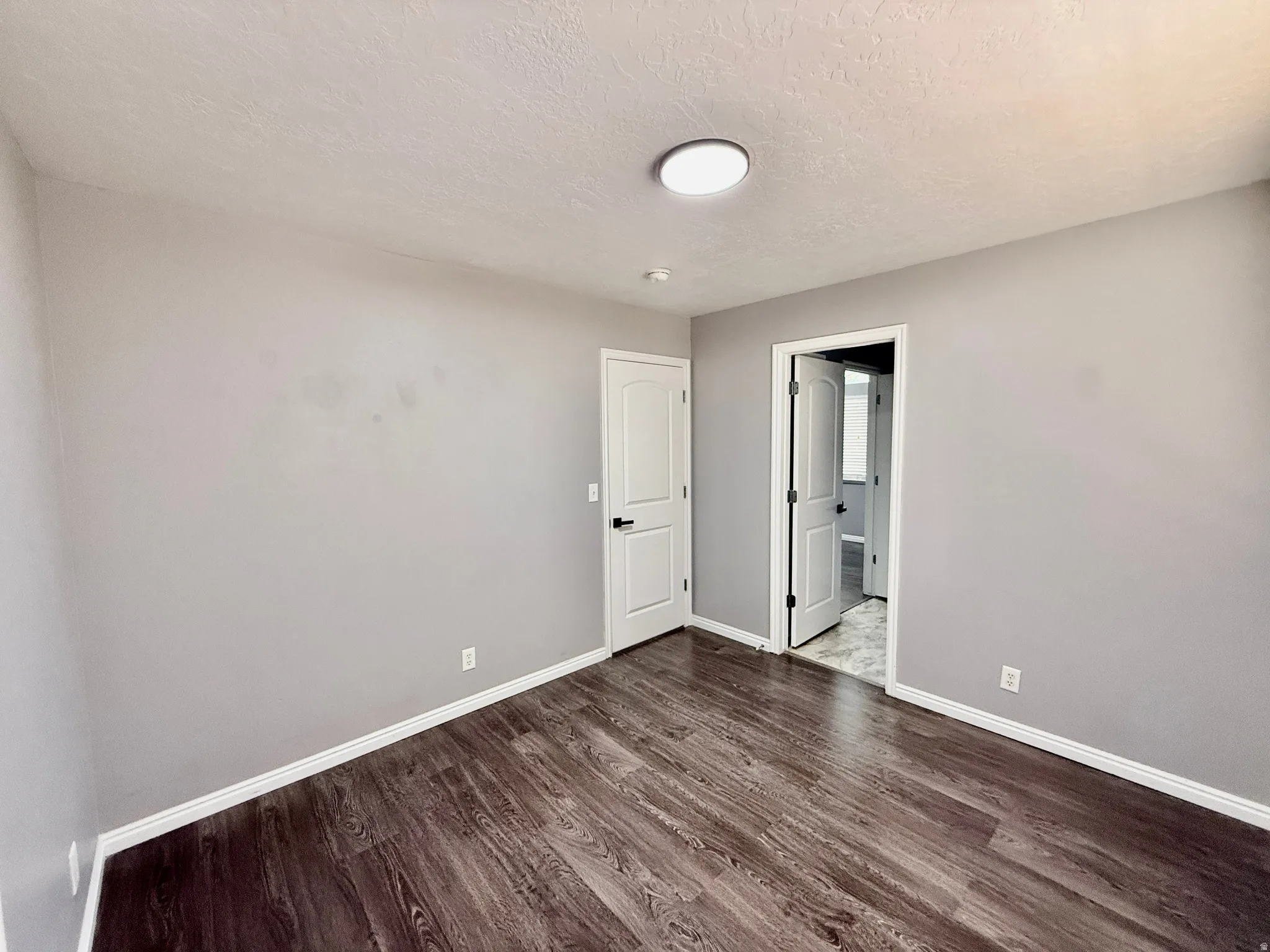 Wood-finish flooring, light gray wall paint, white trim, a flush-mount ceiling light, and white interior doors with dark hardware