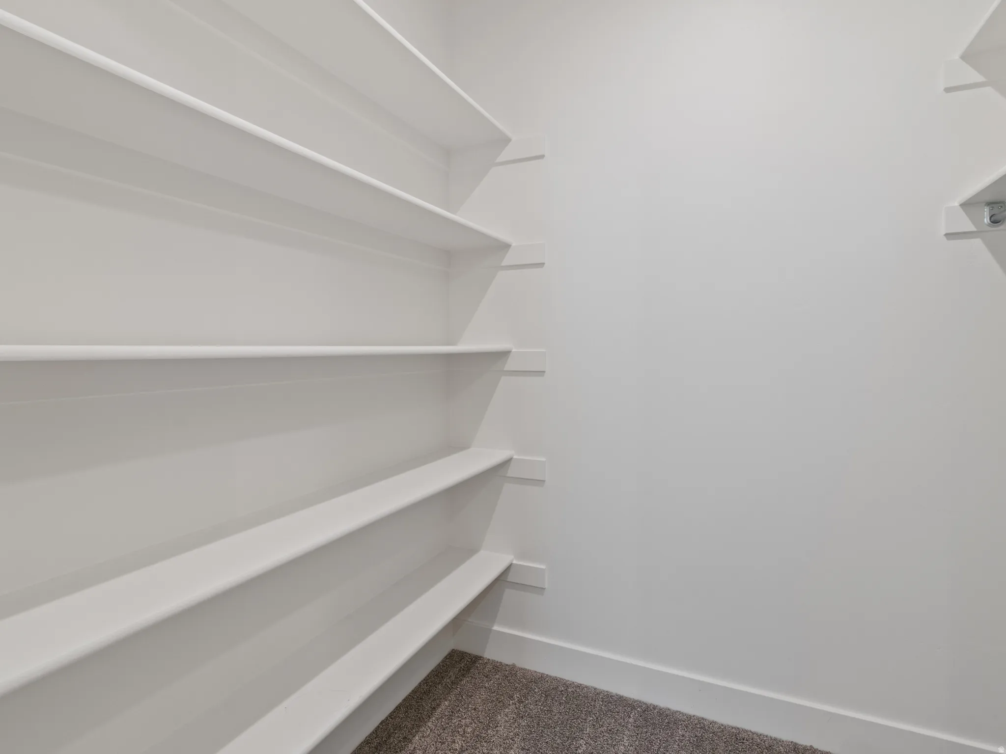 Walk in closet featuring dark colored carpet