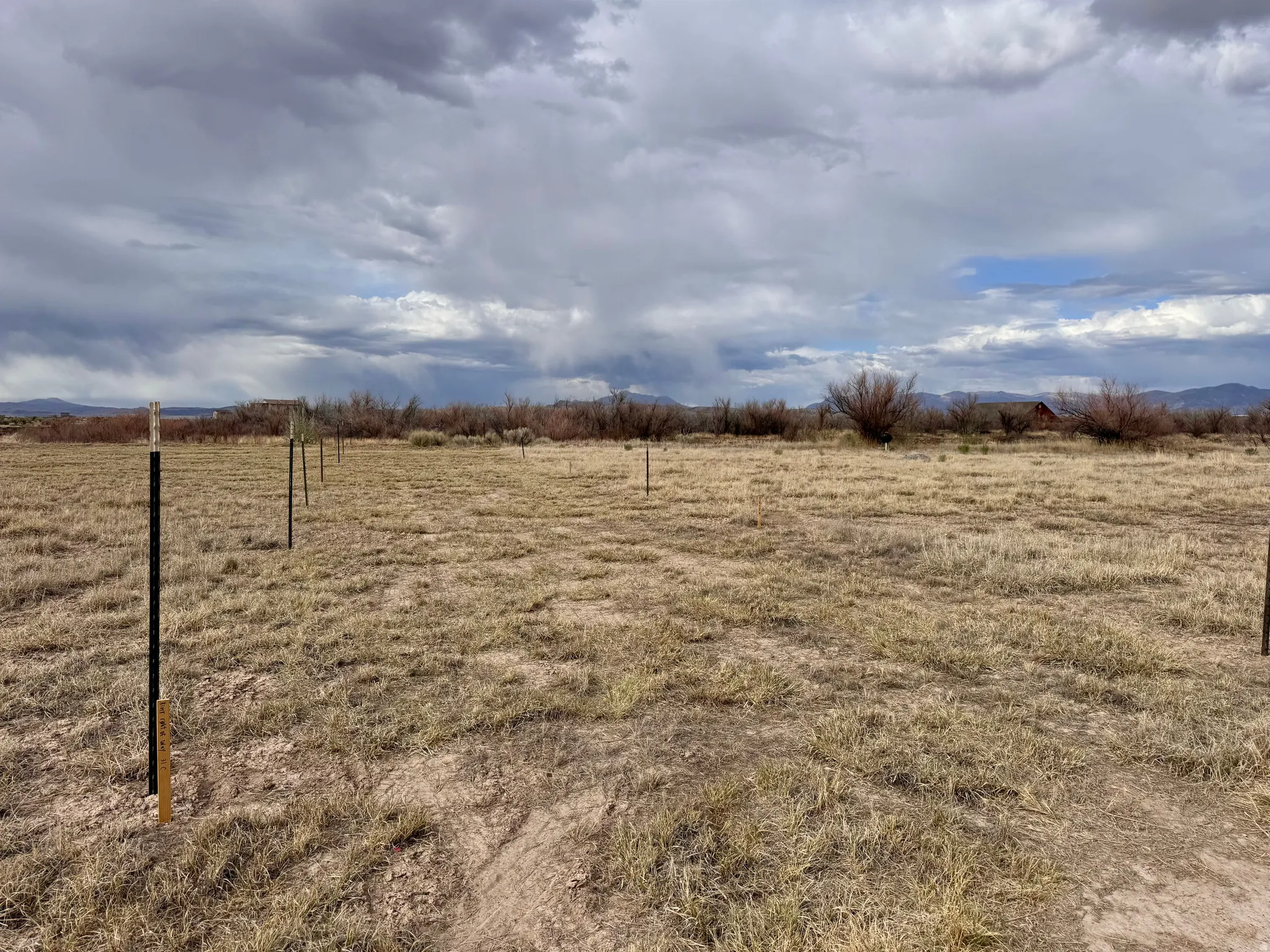 View of yard featuring a view of rural / pastoral area
