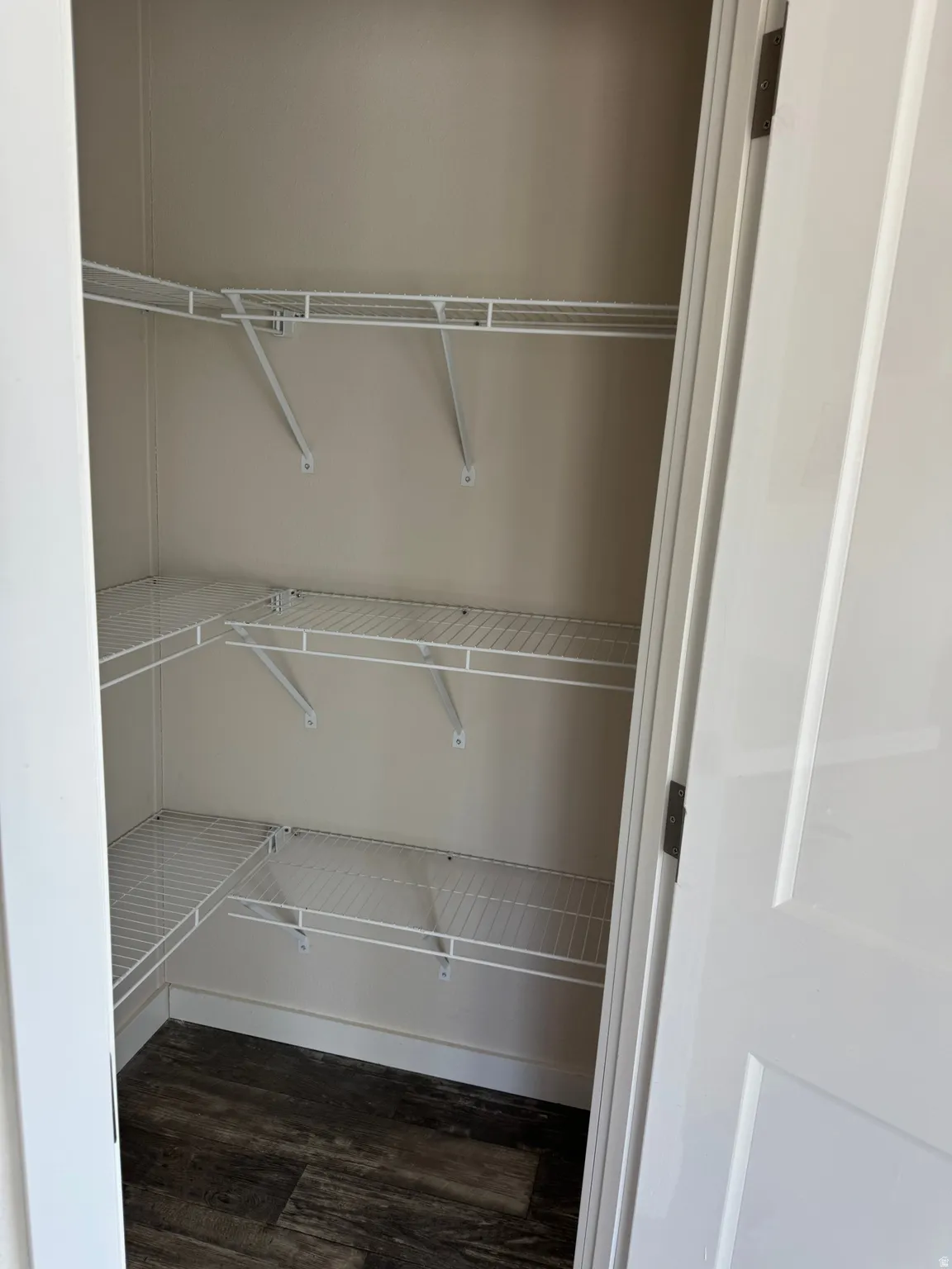 View of Pantry in the kitchen