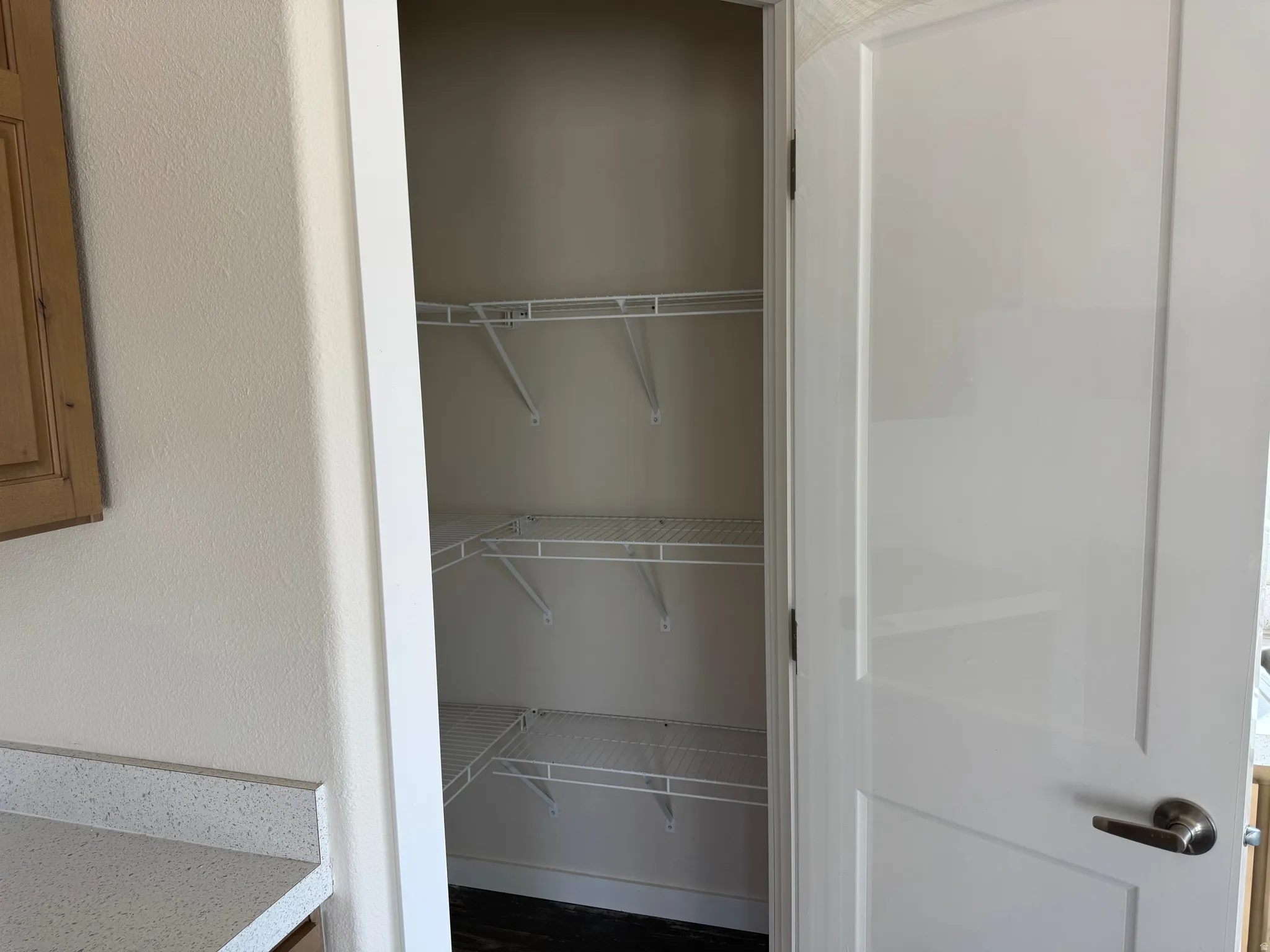 View of Pantry in the kitchen