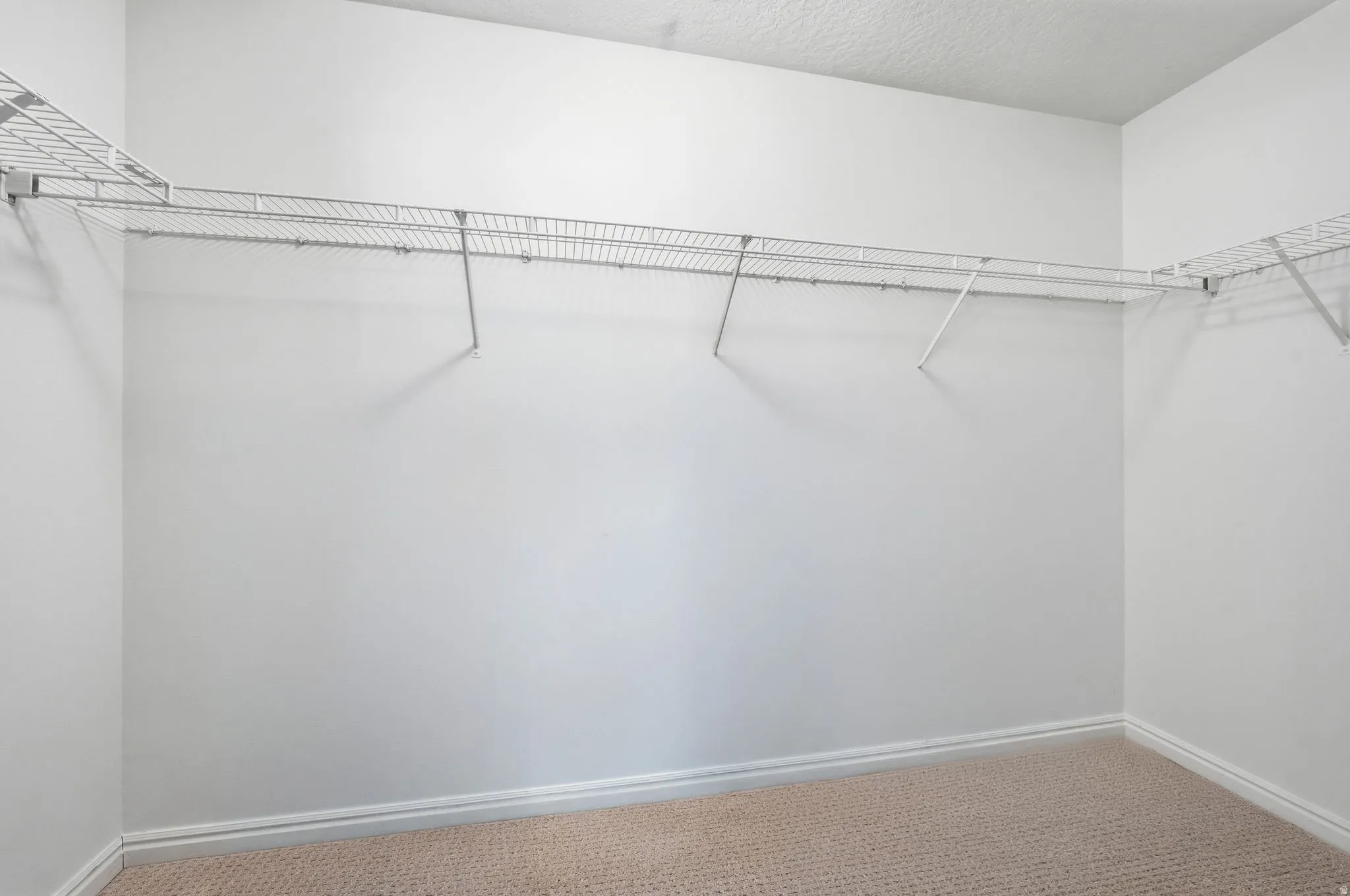 Walk in closet featuring carpet flooring