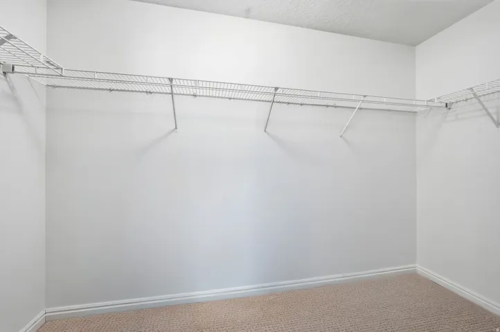 Walk in closet featuring carpet flooring