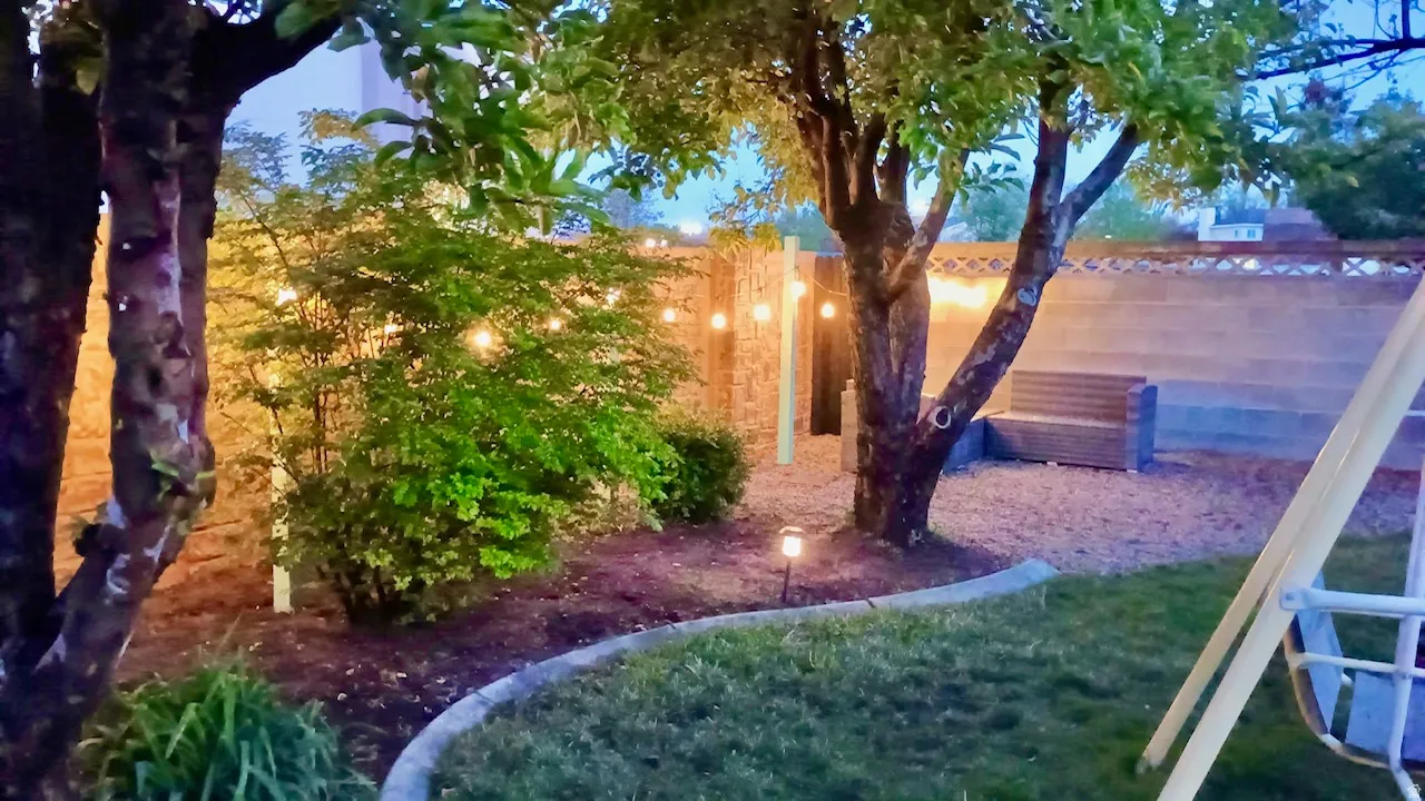 Evening View of backyard