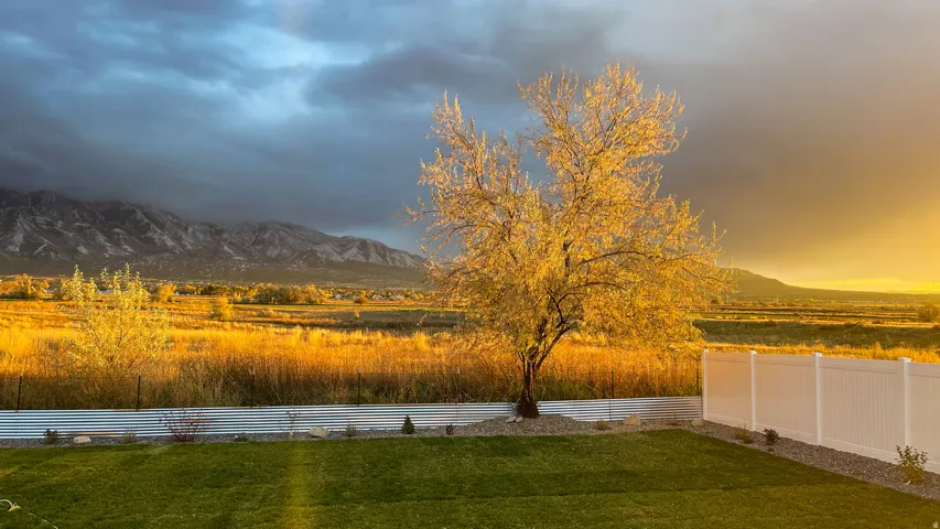 Yard at dusk featuring mountain view.