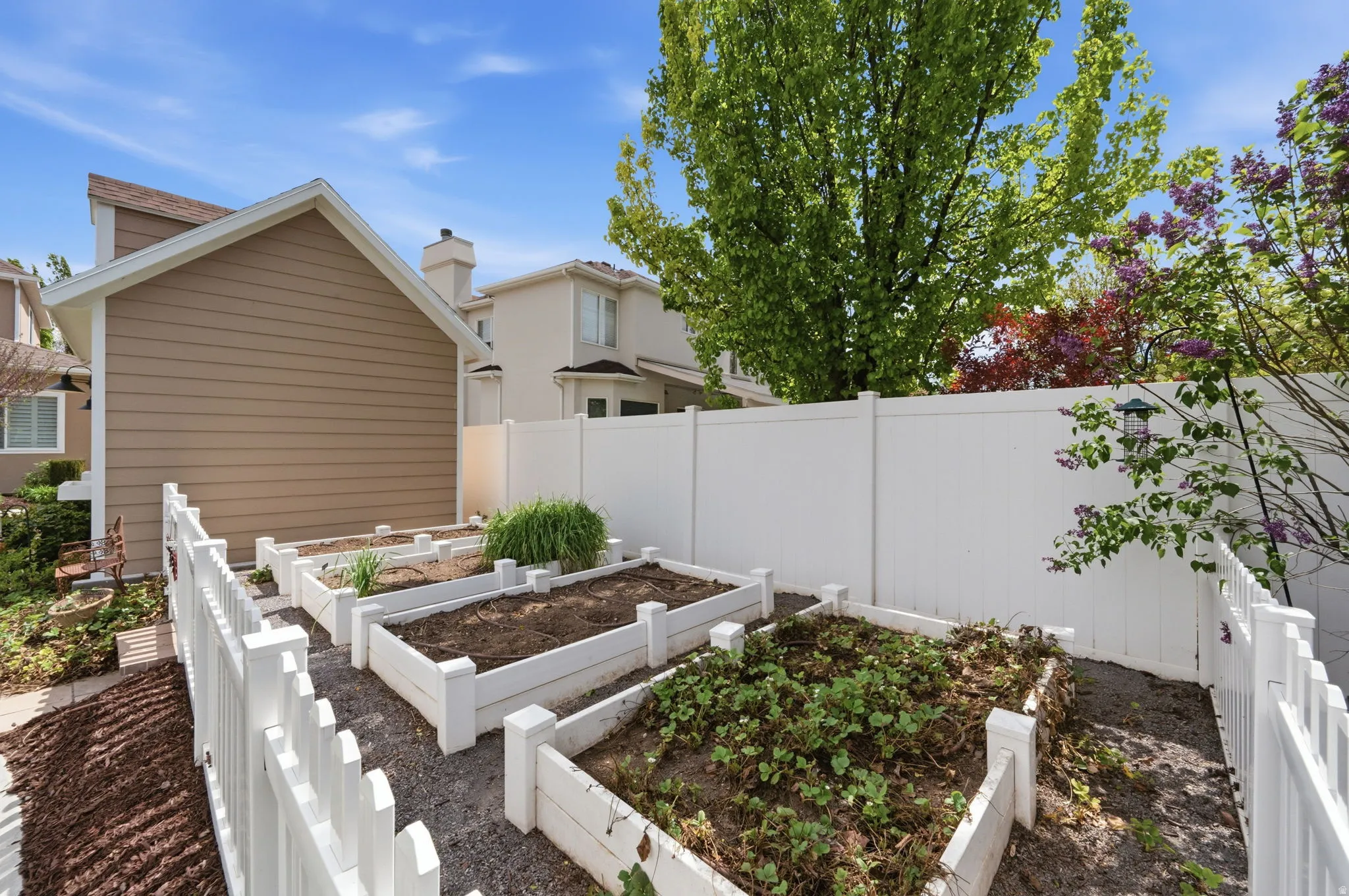 vegetable garden