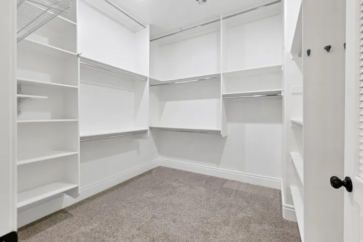 Walk in closet with light colored carpet