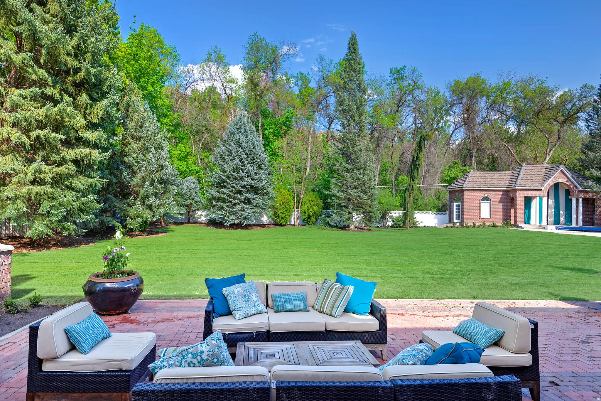 Breathtaking private backyard with towering pines and mature trees.
