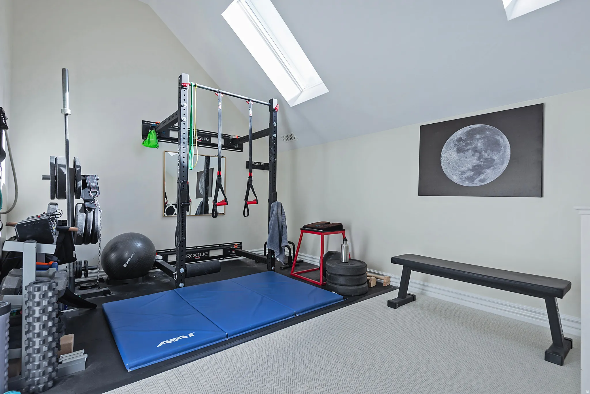 Exercise room featuring skylights and lofted ceiling
