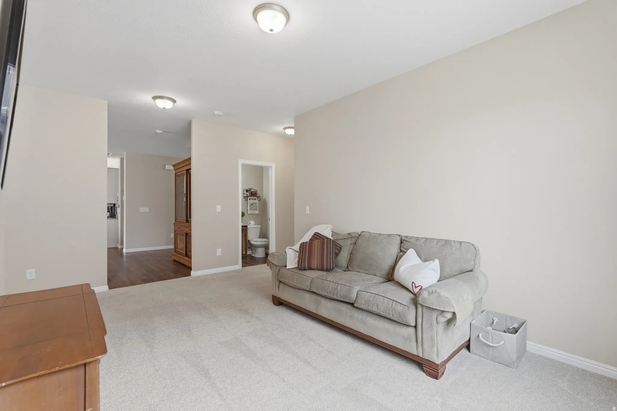 Living room featuring light carpet and baseboards