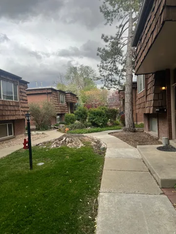 View of grassy yard