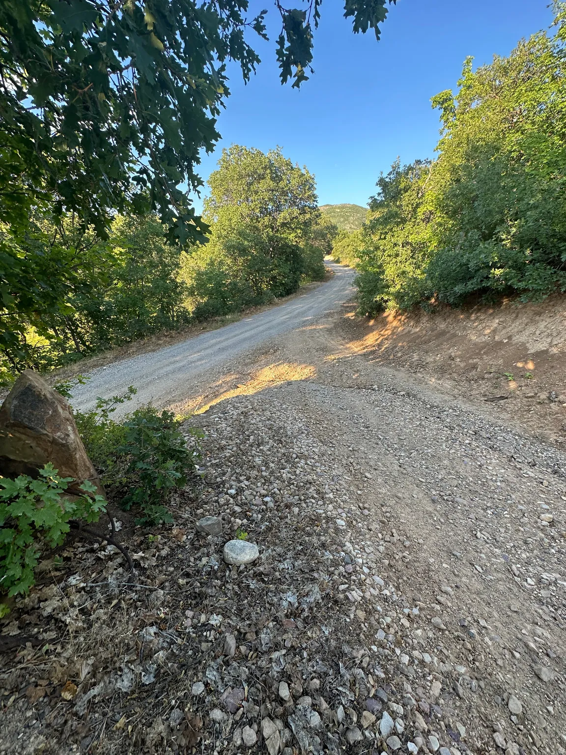 View of dirt / gravel road