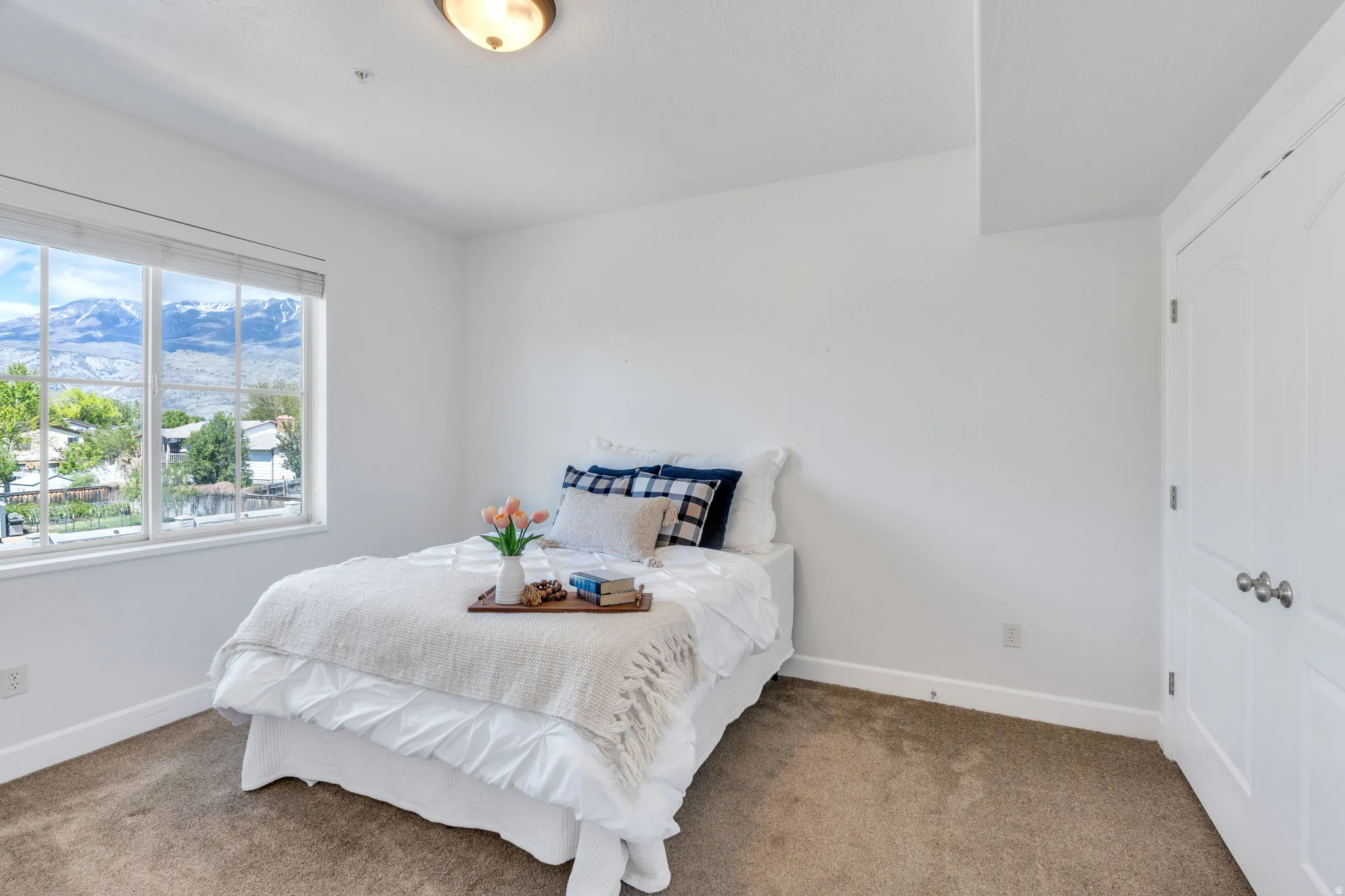 Carpeted bedroom with a mountain view and a closet