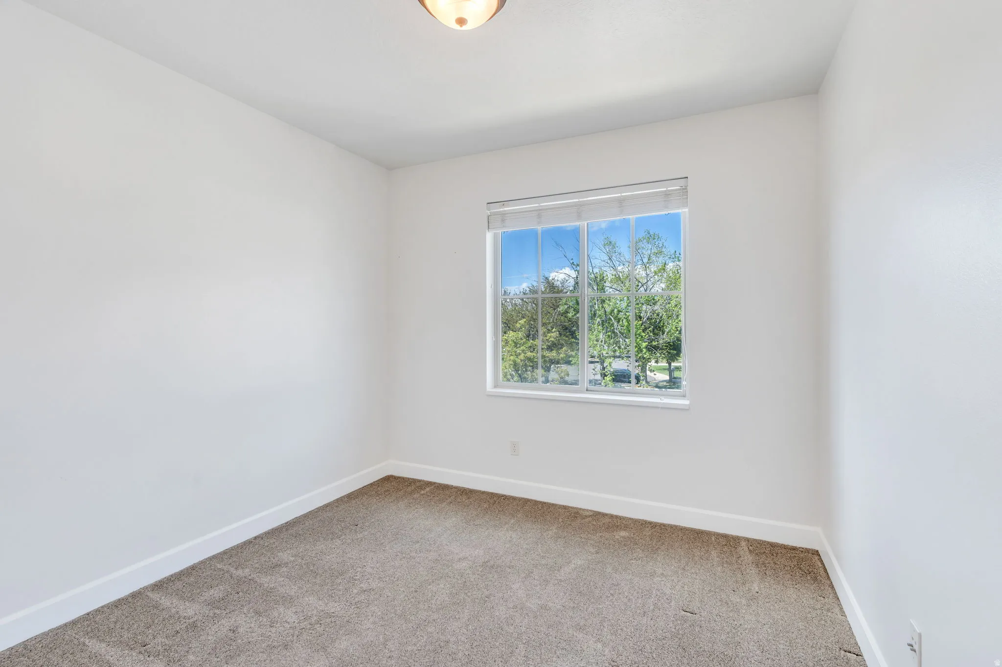 Unfurnished room featuring baseboards and carpet