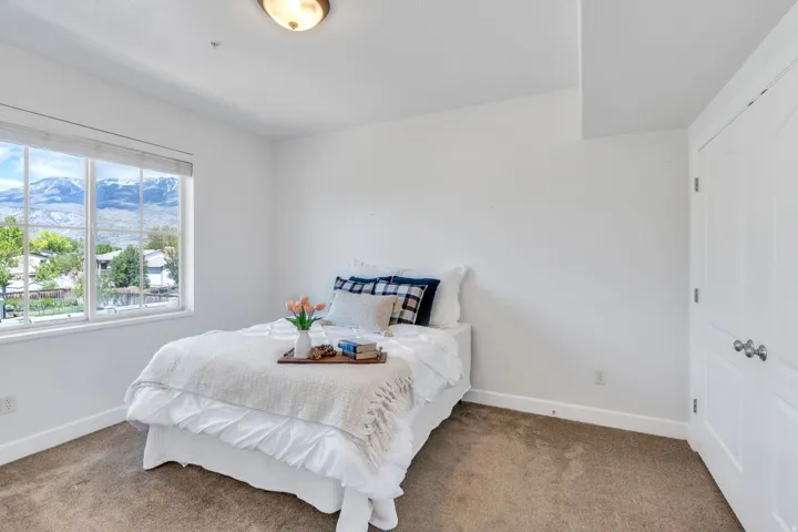 Carpeted bedroom with a mountain view and a closet